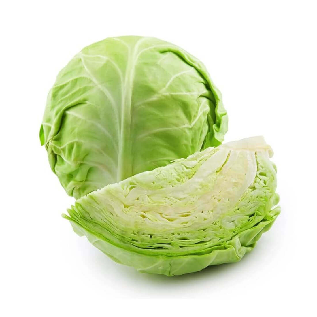 Bắp cải xanh