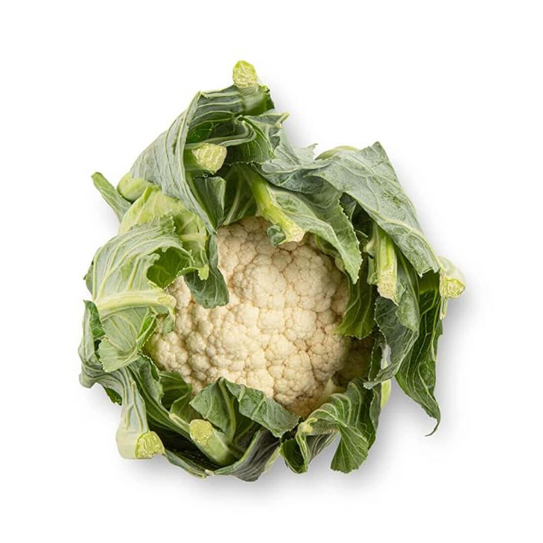 Bông cải