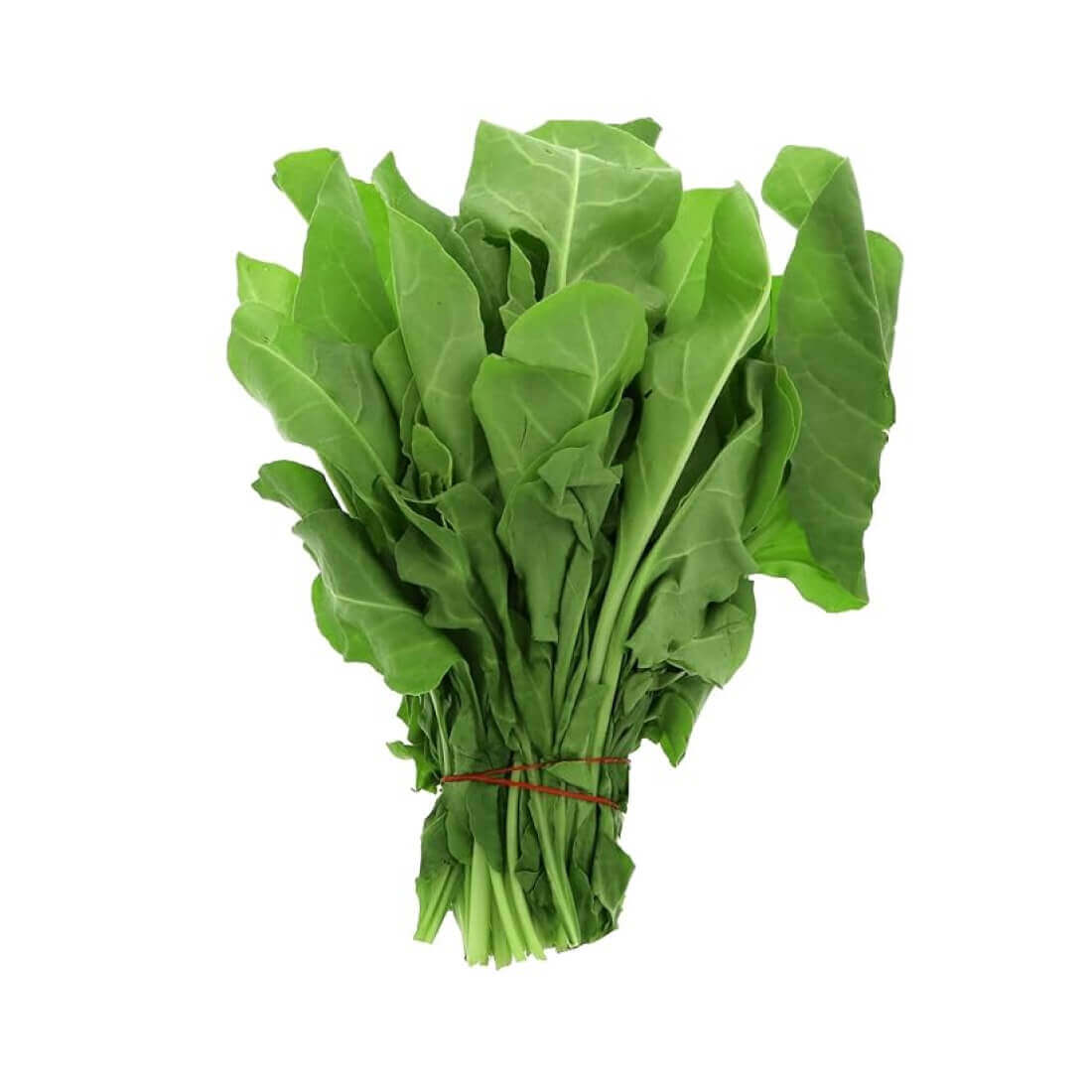 Salad tự nhiên