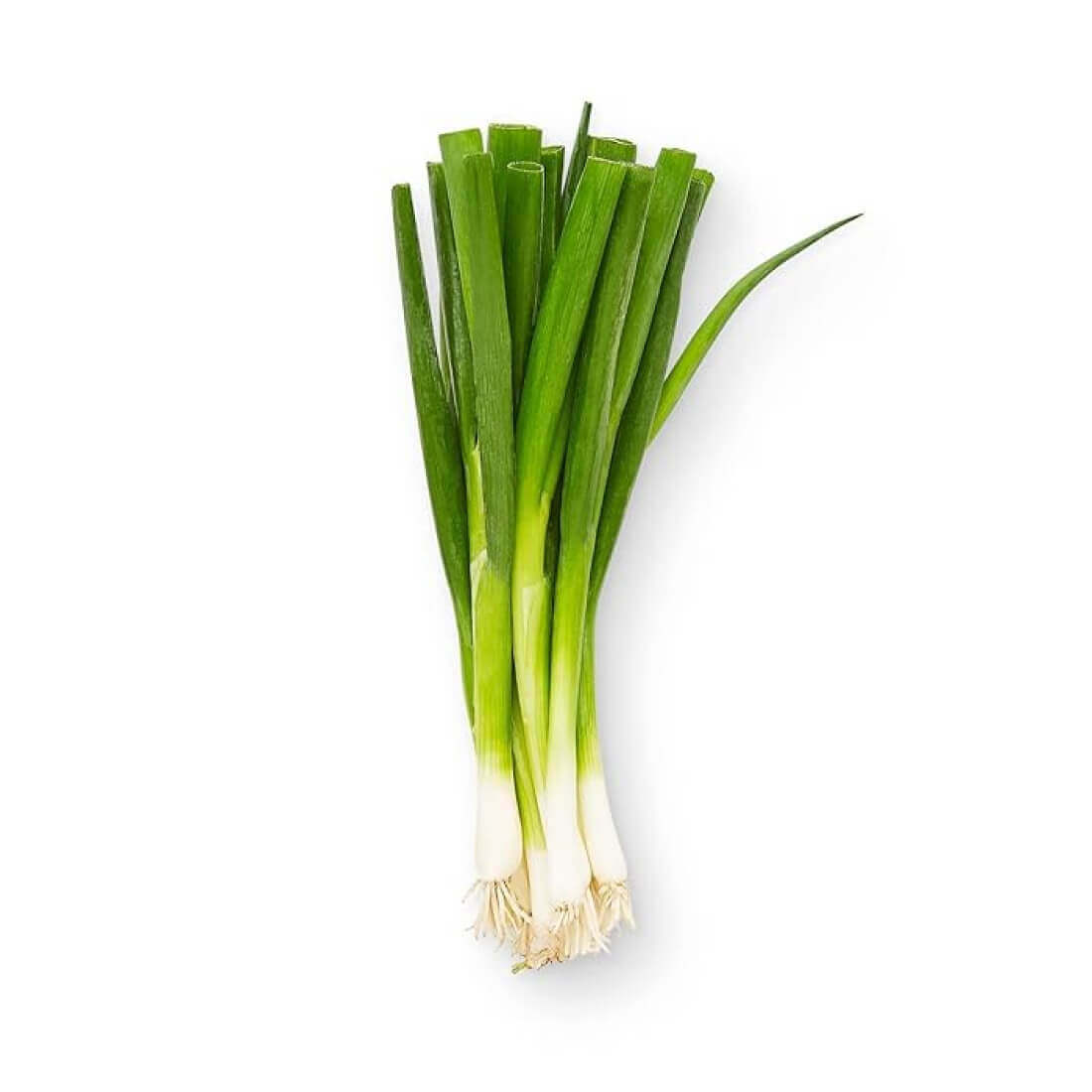 Hành lá